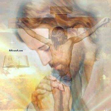 10516636_10206178274678254_2519821911433904822_n